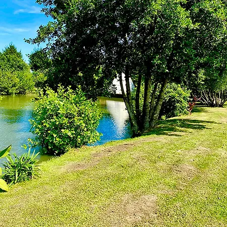 Evasion Nature: Tipi Sur Pilotis Avec Etang, Barque Et Petanque A Maulde, Frontiere Belge - Fr-1-510-148 Apartment