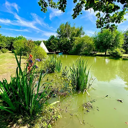 Apartment Evasion Nature: Tipi Sur Pilotis Avec Etang, Barque Et Petanque A Maulde, Frontiere Belge - Fr-1-510-148