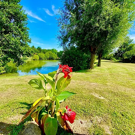 Apartment Evasion Nature: Tipi Sur Pilotis Avec Etang, Barque Et Petanque A Maulde, Frontiere Belge - Fr-1-510-148 *